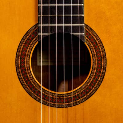 K. Teradaira 303P (Prime) - Yamaki Gakki - Niiburi Guitar 1982/1983 image 4