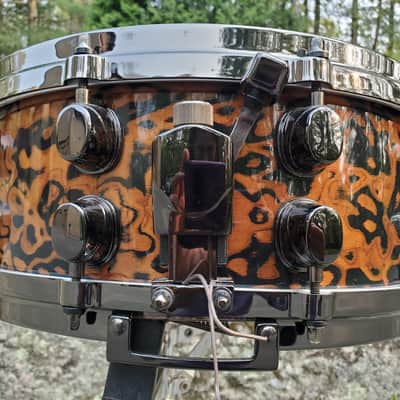 Mapex Orion 2008 - Chocolate Burl image 12
