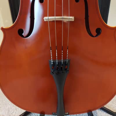 Eastman VC80 2022 - High'gloss Varnish image 3