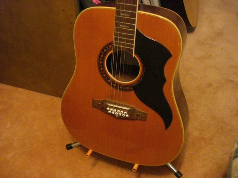 EKO Ranger 12-String Vintage Acoustic Guitar Made in Italy with Chip Case image 1