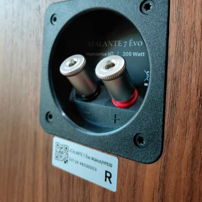 Revival audio  Atalante 7 Evo da esposizione image 20