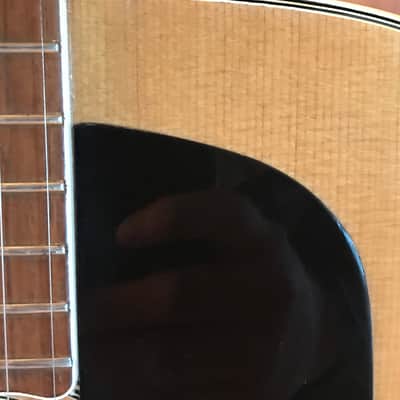 Epiphone FT-570 BL 1970’s Natural image 5