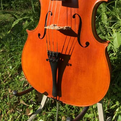 Tenor Violin (half-size cello tuned GDAE) image 7