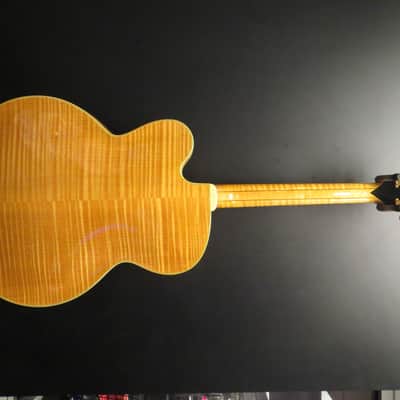Gibson 1991 L5 Natural image 4