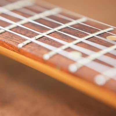 PRS CE 24 | Black Cherry image 24