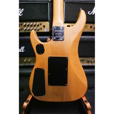 Washburn N2 image 5