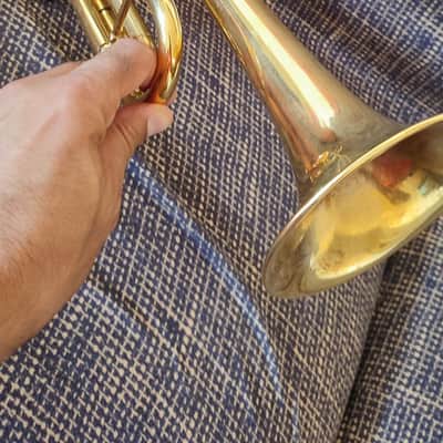 Stomvi Mambo Titanium B Flat trumpet image 2