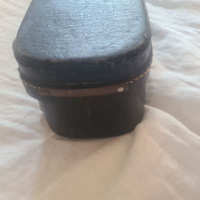 Vintage Lifton Banjo Case60/70's image 2