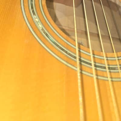 Ibanez M310 1982 Natural *BRAND NEW CONDITIONS* image 5