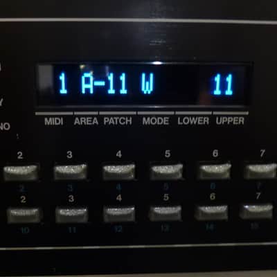 OLED Display Upgrade - Roland MKS-80 Custom OLED Display.