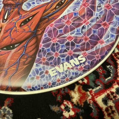 Evans Danny Carey 22"  Fear Inoculum “The Turning Man” #1 & #2  Bass Drum Head Set image 4