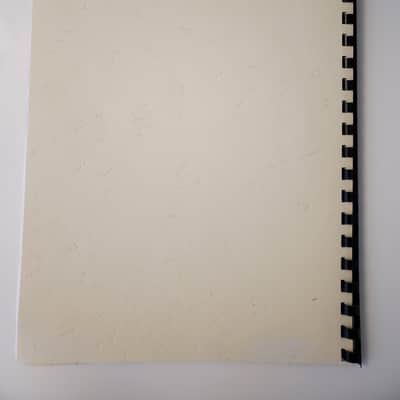 Boss DR-202 – Dr. Groove – 2000s Drum Machine – Printed Manual & PSU included – Tested image 21