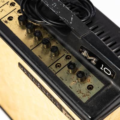 Magnatone Custom M10 Owned by Mike Campbell image 7