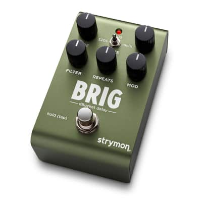 Strymon BRIG dBucket Delay - Effect for Guitars image 2