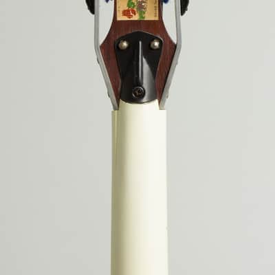 Wandre Roby Basso 63 Semi-Hollow Body Electric Bass Guitar (1963), black tolex hard shell case. image 6