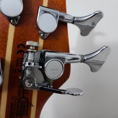 Washburn T25 Taurus 5-String Bass 2010s Darkglass Tone Capsule image 4