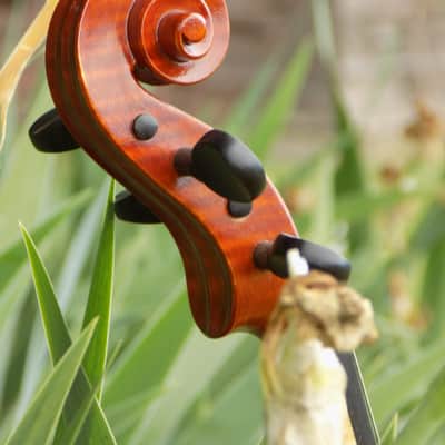 Crow Creek Fiddles Handmade Professional Violin, Red-Brown, With Beautifully Flamed Maple! image 8