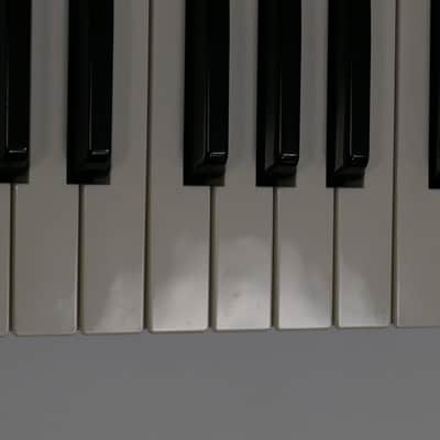 Dave Smith Instruments Mopho x4 image 20