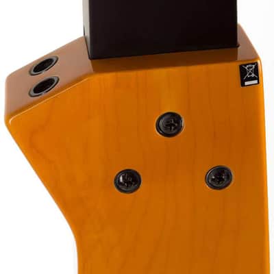 STAGG Electric Double Bass With Gigbag Plus 1/4" Output Jack  EUB Electric Upright Bass image 5