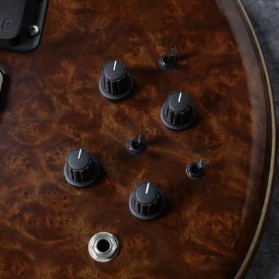Alembic JJLB5 Jimmy Johnson Signature [5.17Kg] image 3