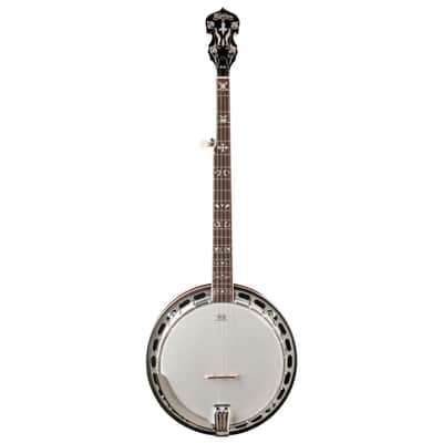 Washburn Americana Series B16K-D 5 String Banjo Sunburst image 6
