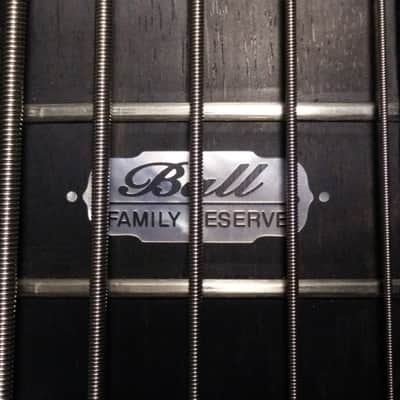 Ernie Ball Music Man Stingray HH 5 Family Reserve 2010 Turquoise Pearl image 3
