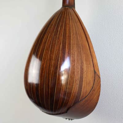 Giuseppe Indelicato Contarino Neapolitan Mandolin - c. 1910 - Made in Catania, Italy image 4