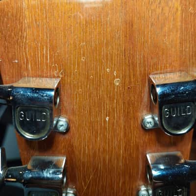 1974 Guild M-75 Bluesbird (USA) – Exceptional Original Condition image 11