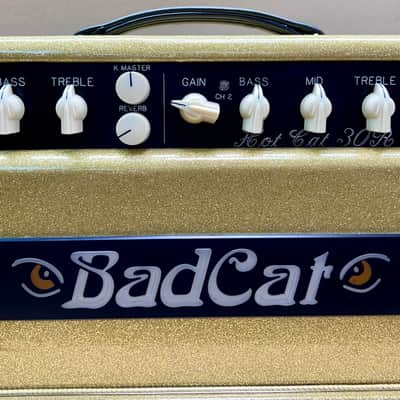 Bad Cat Hot Cat 30R - Custom Shop Gold Sparkle Cabinet image 3