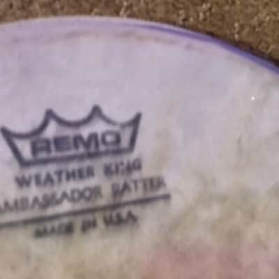 Tama drum head 2010 Coated ambassador image 2