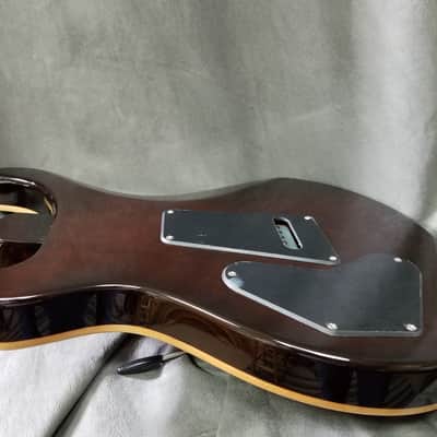 Paul Reed Smith PRS SE DGT David Grissom Tremolo Signature McCarty Tobacco Sunburst image 7