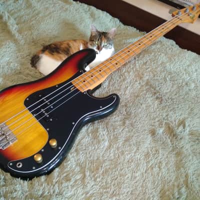 Cat sells Killer Bass :-) Greco Precision Bass 1980 Sunburst PB600S model \m/ image 2