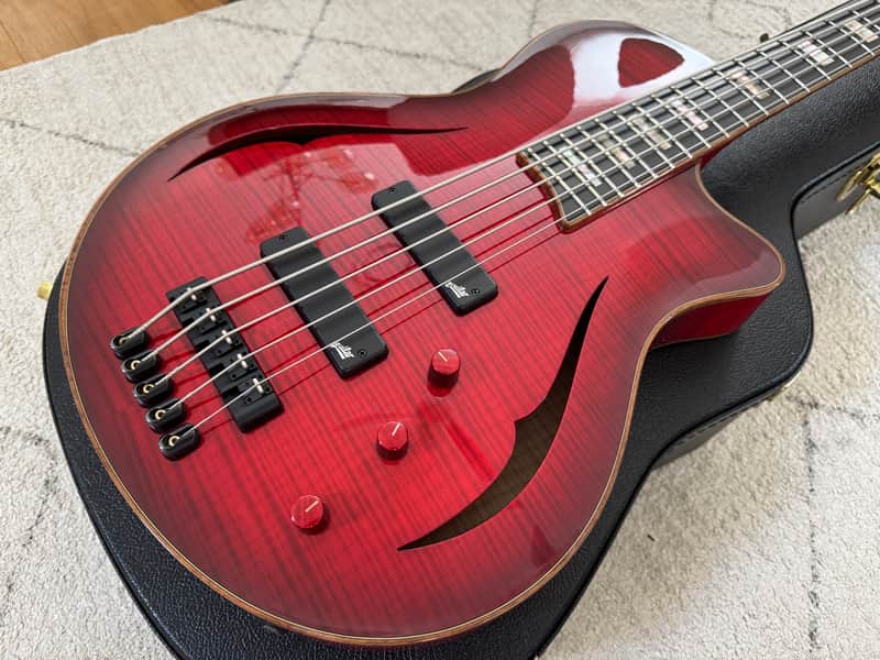 5 String Bass - Jazz Archtop - Semi Acoustic - Master Luthier image 1