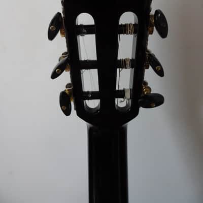 ORTEGA SOLID TOP THINLINE ELECTRIC-CLASSICAL GUITAR (RCE138-T4BK) image 13