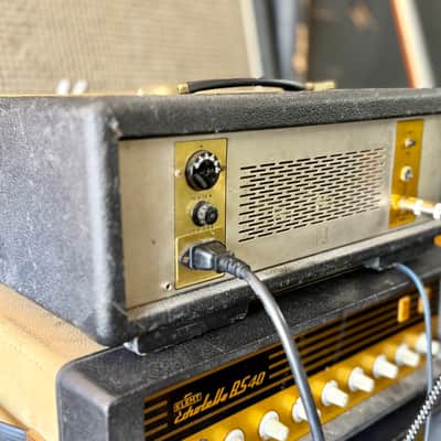 Klemt Echolette BS-40 tube guitar bass amplifier c 1965 - GOLD original vintage valve amp image 4