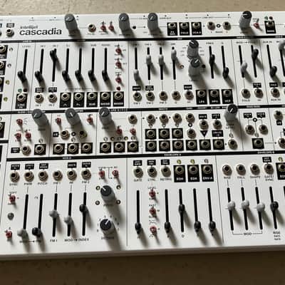 Intellijel Cascadia w/ lid and Intellijel bag image 1