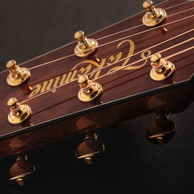 Takamine LTD2025 Limited Edition Acoustic Guitar - Ebony Fingerboard, Green image 16