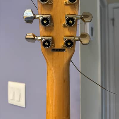 Ibanez Concord 1978 image 7