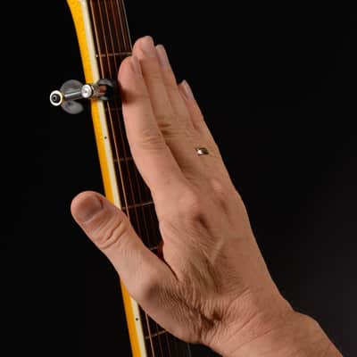 Glider Rolling Capo image 3
