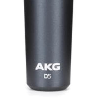AKG D5 Supercardioid Dynamic Handheld Vocal Microphone image 3