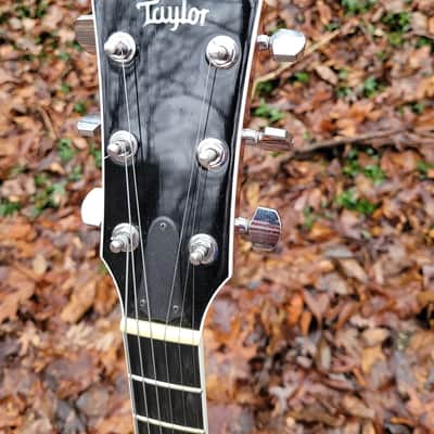 Taylor T3/B 2009 - Natural image 2