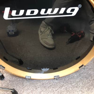 Ludwig ACCENT 5 Piece Shell Pack - Amber Gloss image 10