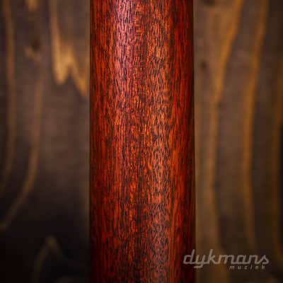 Eastman E1SS-SB image 7
