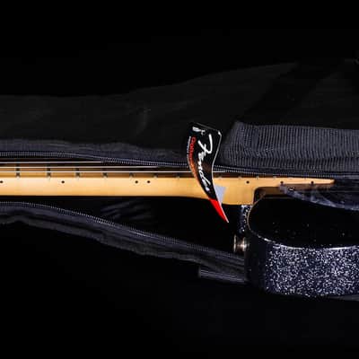 Fender Brad Paisley Esquire Black Sparkle Maple (033) image 7