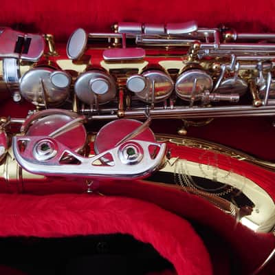 Borgani Vintage Alto Saxophone 1980 - Gold Lacquer with Nickel Silver Keys image 3