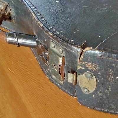 Cased George P. Matthew Mandolin 1882-1910 image 22
