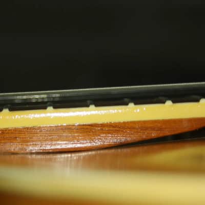 Epiphone Zephyr Regent image 18