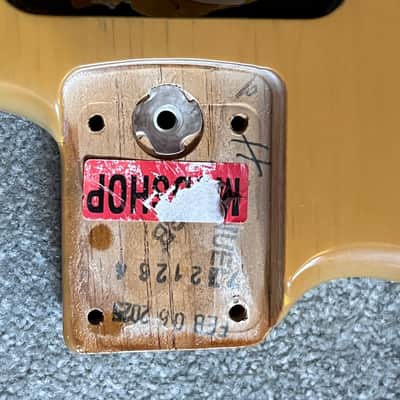Fender American Standard Stratocaster guitar body roasted pine Mod Shop blonde 3 lb 5 oz image 2