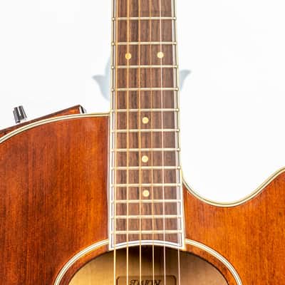 Daion The Year Series '81 Caribou - Brown (BR) - Electric Acoustic Six String image 2