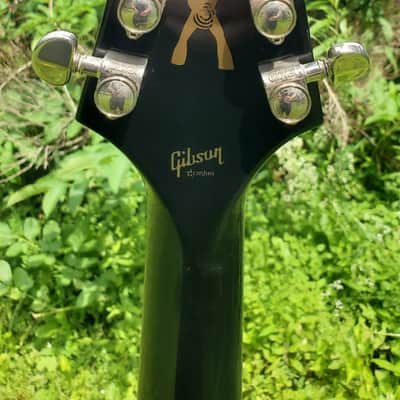 Gibson Zakk Wylde Custom Flying V Bullseye 2007 image 14
